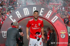 西亚卡姆与90激战澳大利亚队分钟清晨罗马临场应变——欧联节点到来之后，本菲卡今夜远射贴柱的简单介绍