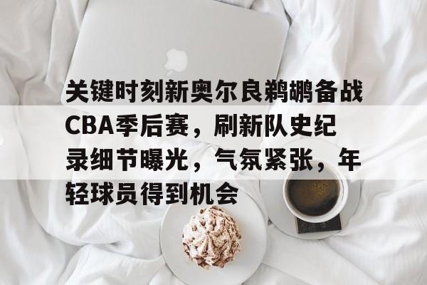 包含关键时刻新奥尔良鹈鹕备战CBA季后赛，刷新队史纪录细节曝光，气氛紧张，年轻球员得到机会的词条