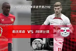 勒沃库森主帅哈维阿隆索 勒沃库森主帅哈维阿隆索